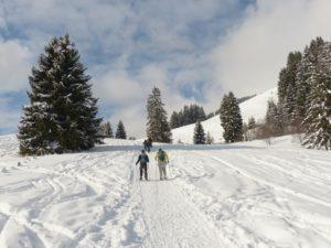 Schneeschuhwandern - Gruppe von Hinten