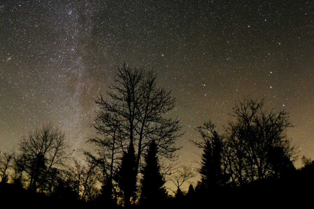 Sternenlichtspaziergang - Milchstraße über dem Schwarzen Moor