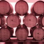 Weinseminar - gestapelte Weinfässer